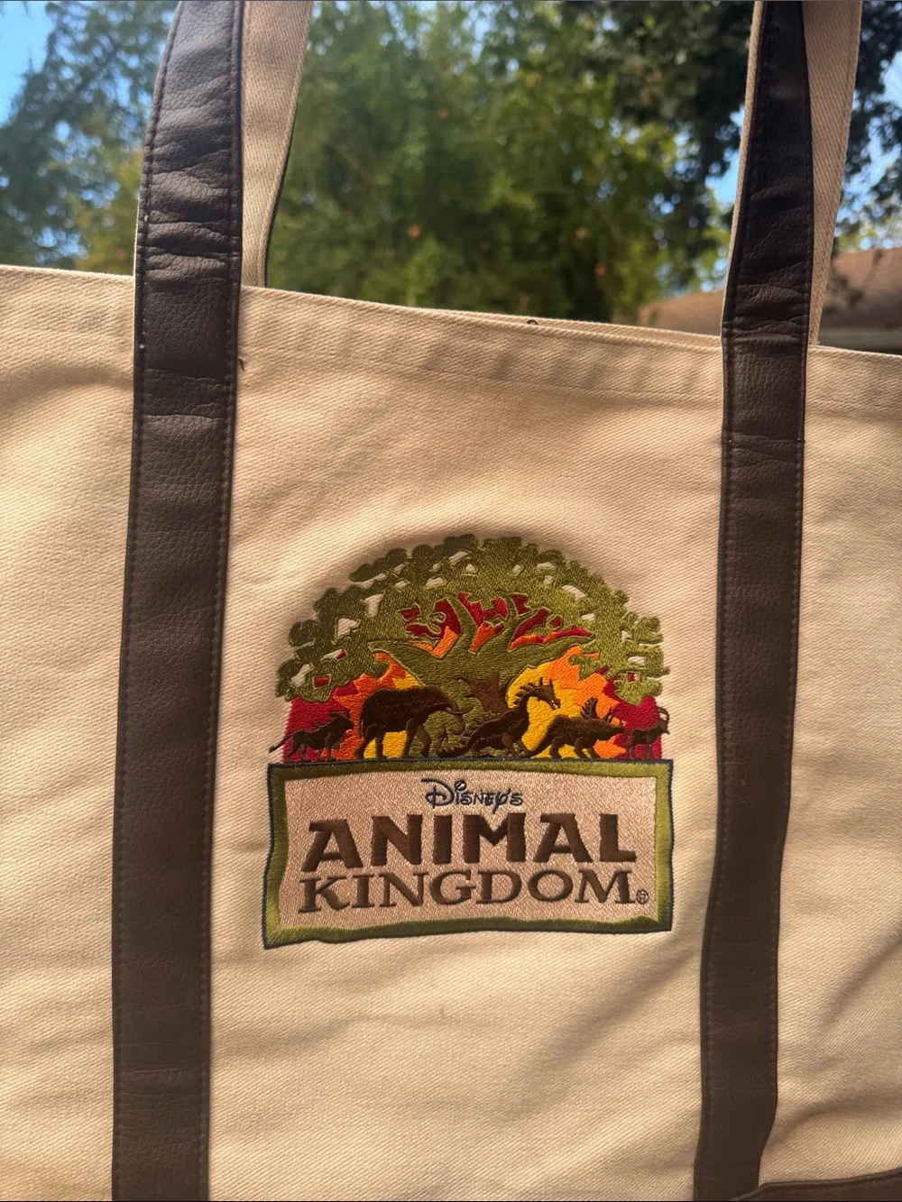 1998 Disney tote!